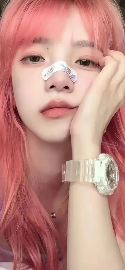 瑞士·阿尔卑斯